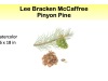 Slide65