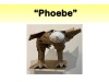 Slide93