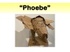 Slide95